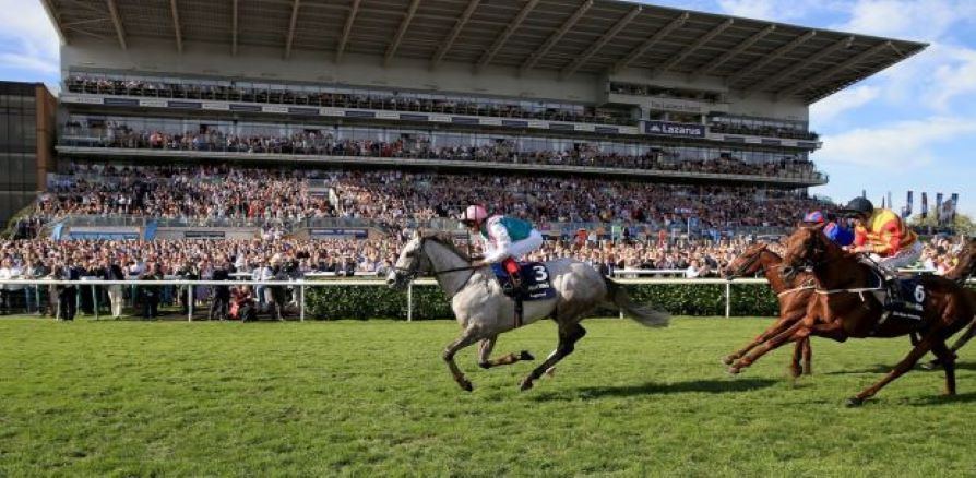 St Leger Festival Free Bets, Tips & Guides