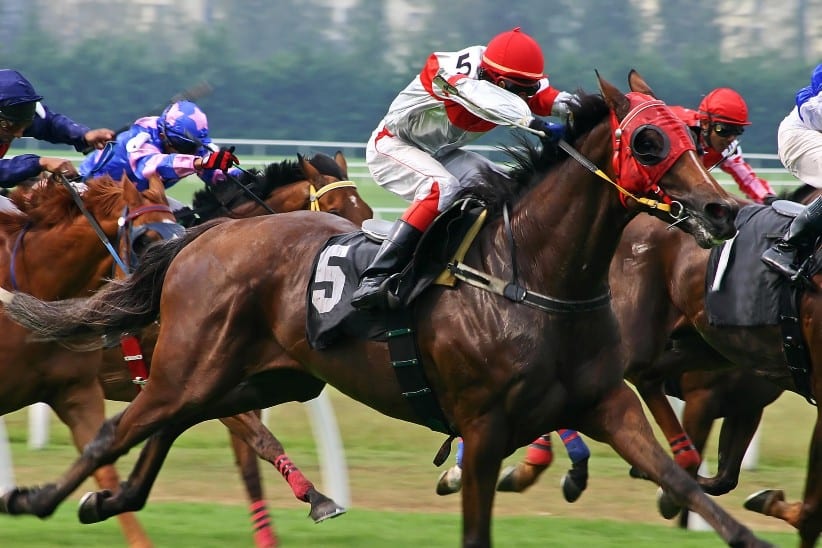 Horse Racing Betting 